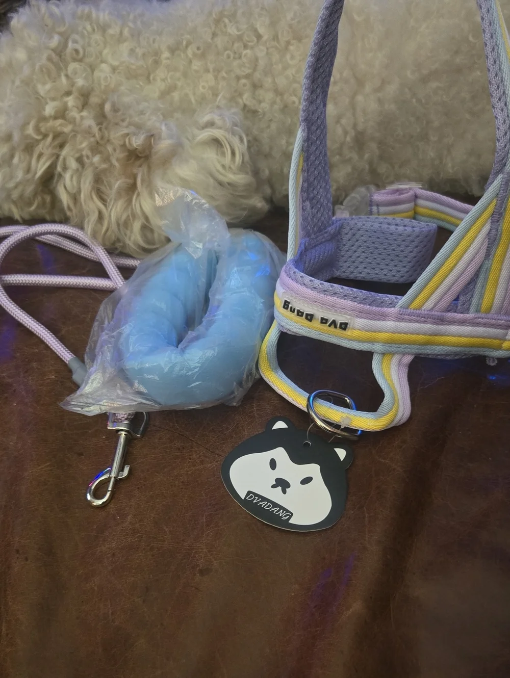 Pets  Pastel Stripe Harness with Blue Jump Rope -
